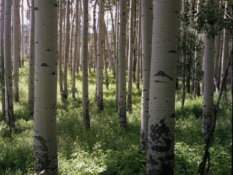 Colorado Western Slope